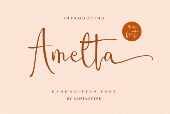 Amelta: A Designer's Honest Review for Real-World Branding