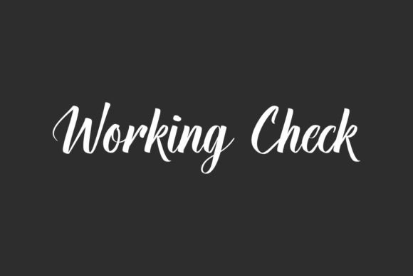 Working Check: A Stylish Script Typeface for Modern Web Design